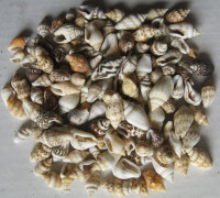 Více než 100 kusů 2)